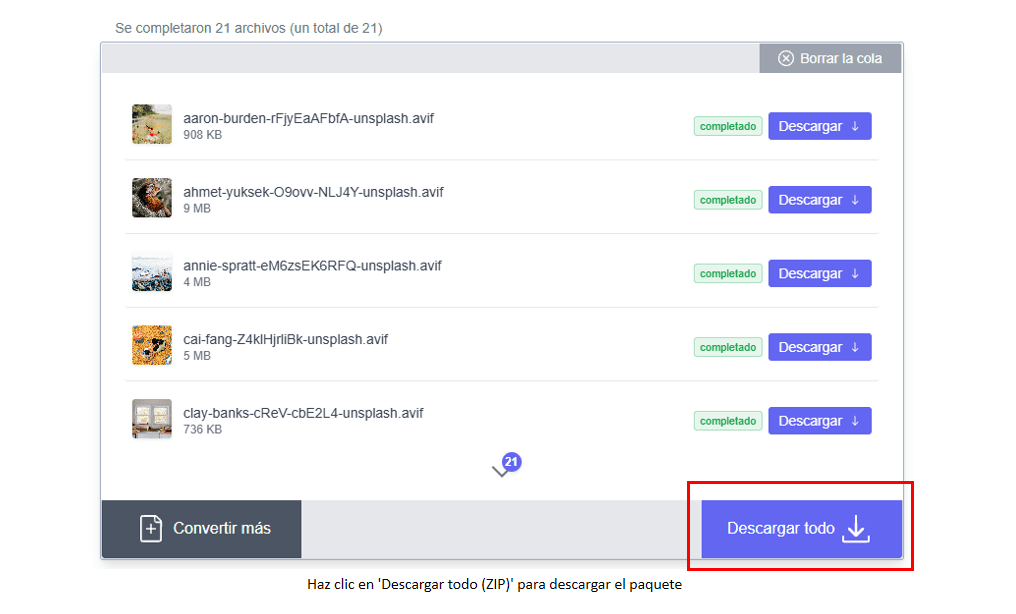 Pantalla de resultados con el botón Descargar todo (ZIP) destacado